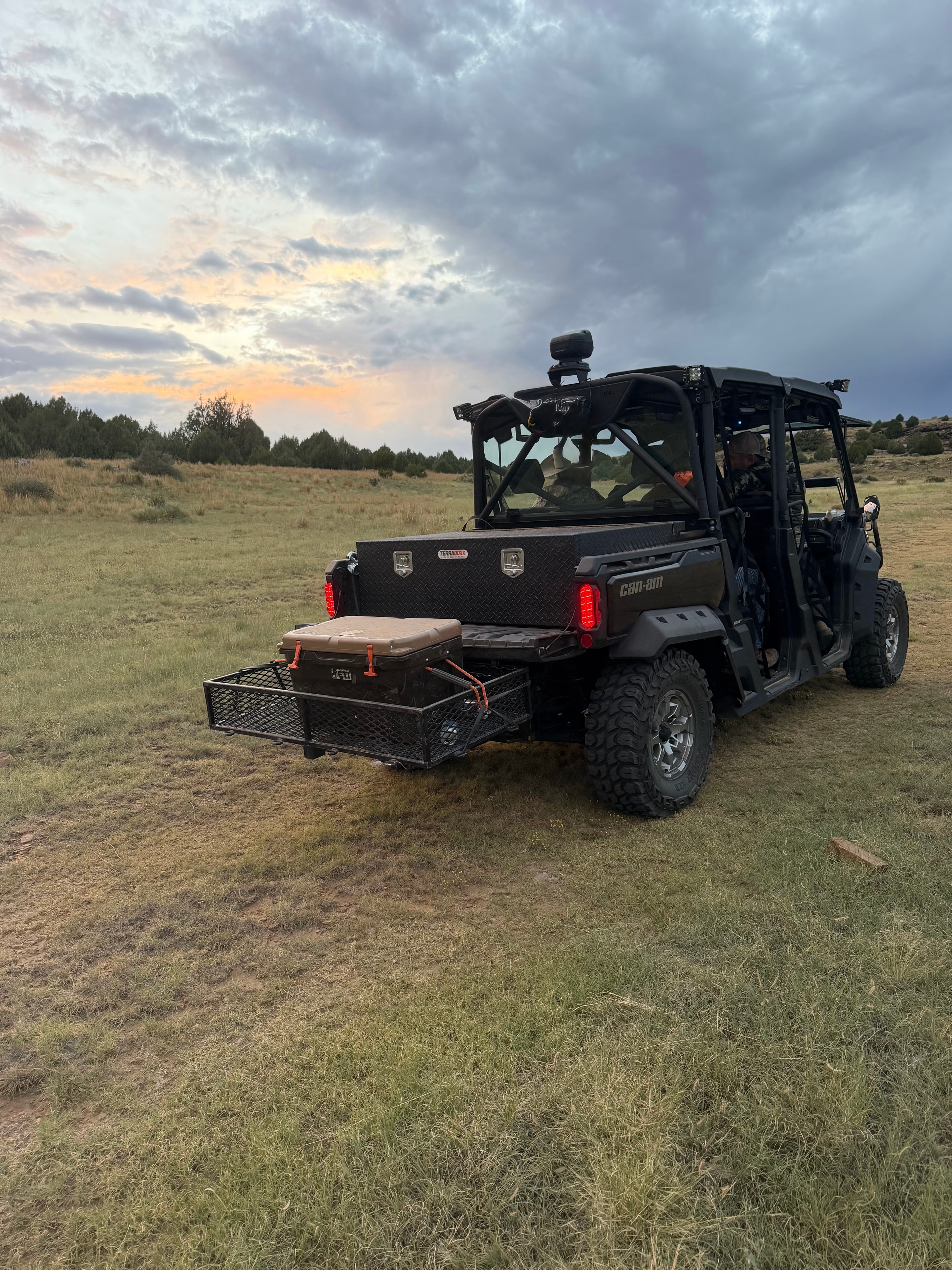 Hunting field at sunrise
